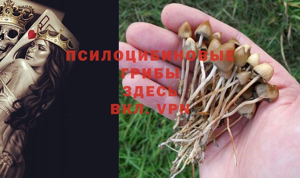 прущая мука Абдулино
